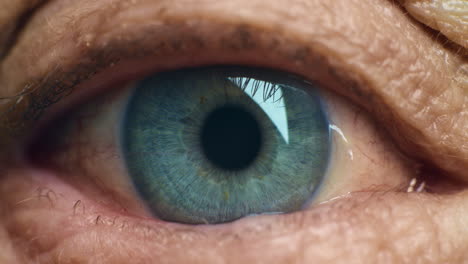 Macro-image-of-green,-blue-eye-color