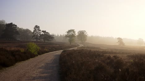 misty morning country road