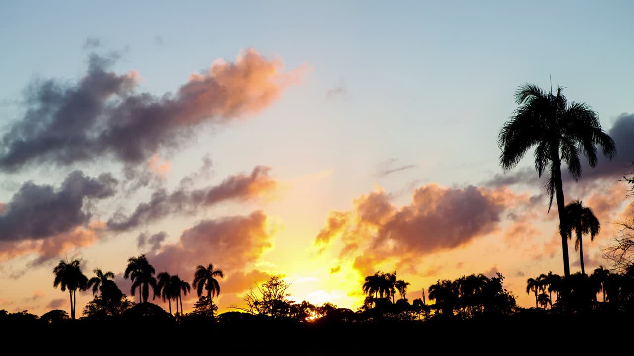 Time lapse with silhouettes of palm trees