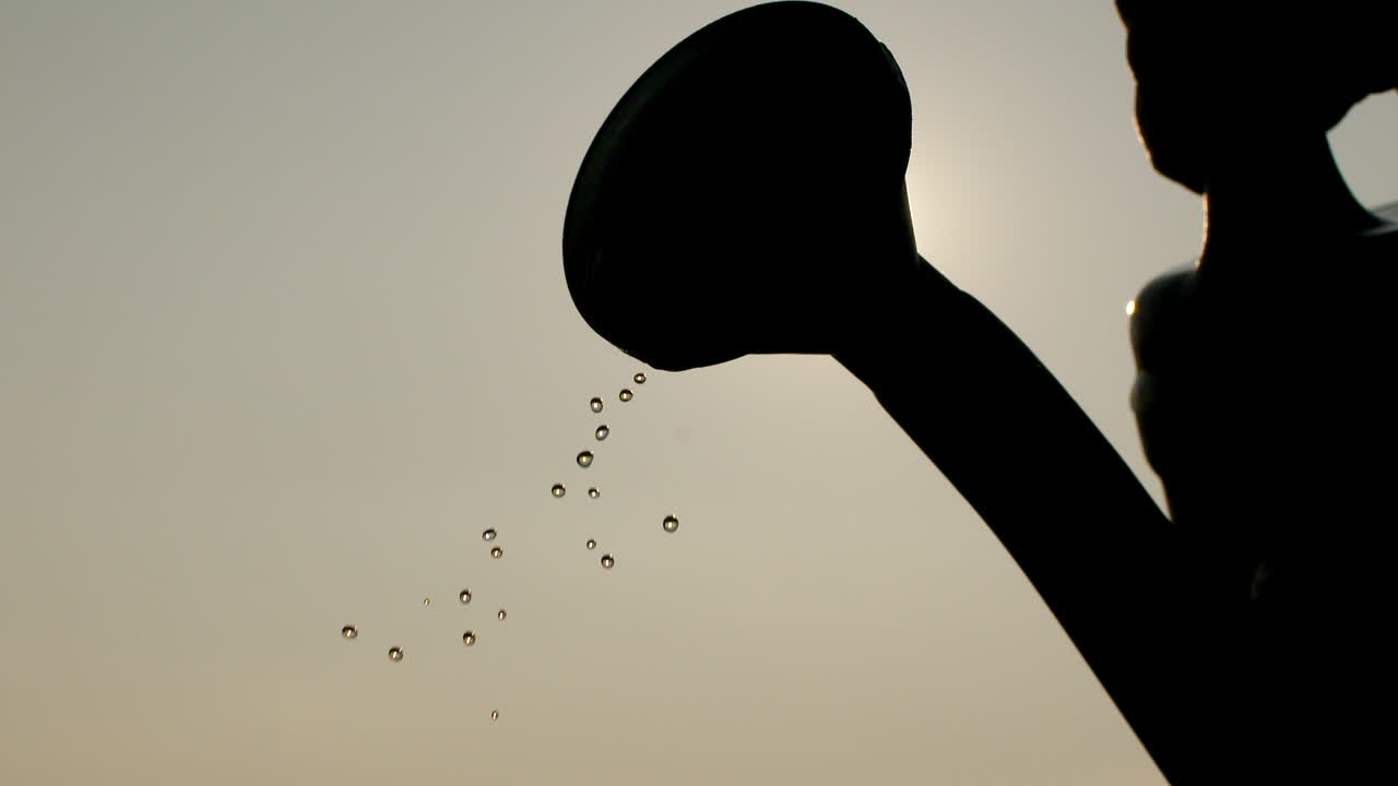 농업 물을 수 물을 붓는