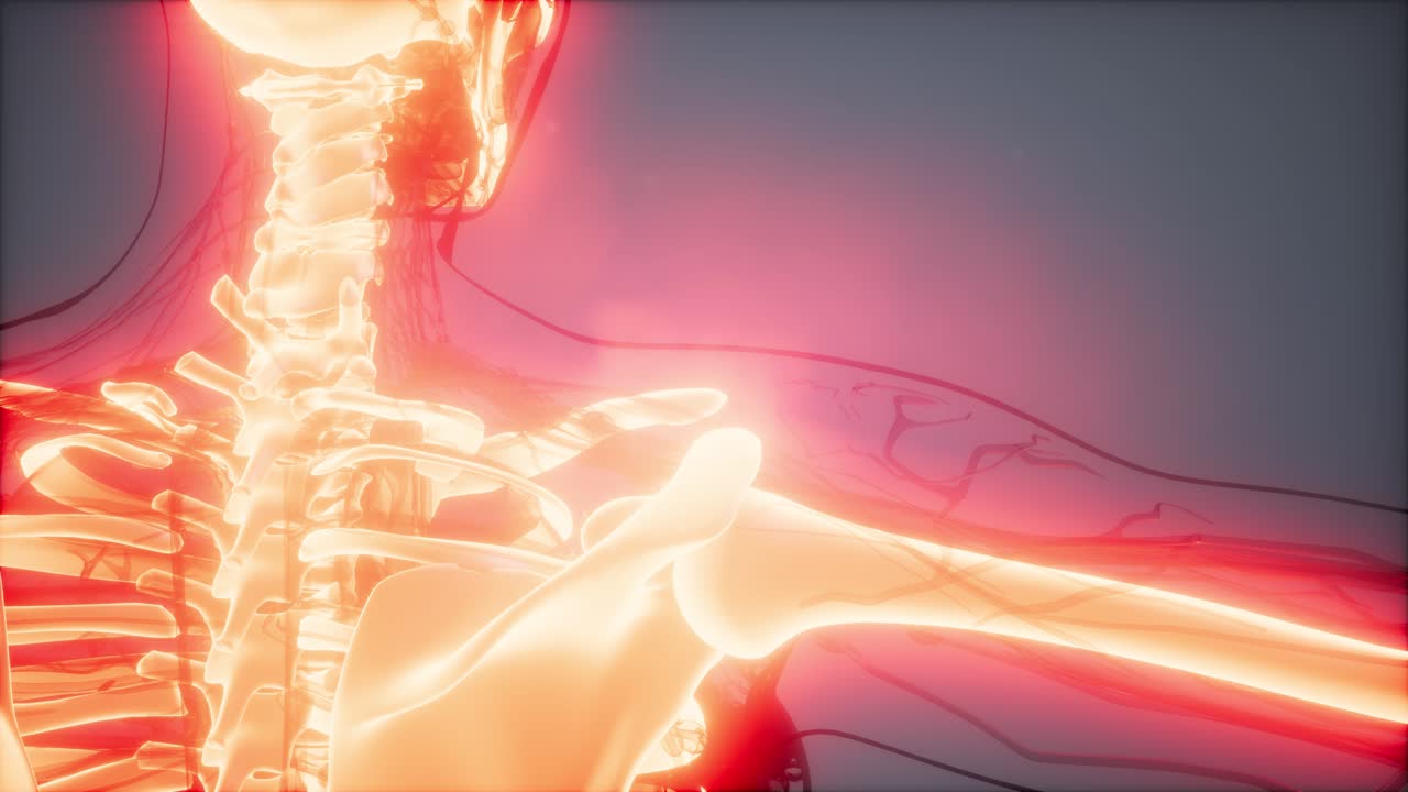 눈에 띄는  ⁇ 가 있는 투명한 인간 몸