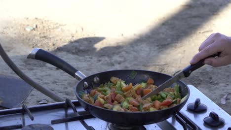 Outdoor-nature-cooking-vegetarian-tofu-stir-fry-while-camping-on-stove