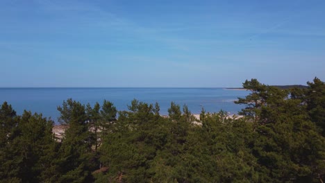 Flugreise-Zur-Insel-Hiiumaa:-Schneller-Aufstieg-Durch-Den-Wald,-Der-Einen-Atemberaubenden-Strand-Enthüllt-–-4K-Drohnenvideo