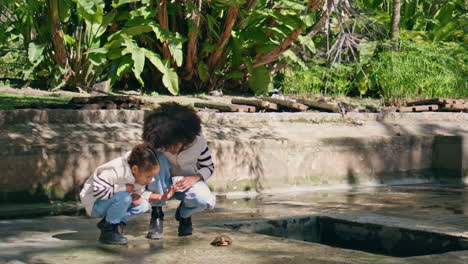 mother daughter meet turtle at green park walk. family looking reptile.