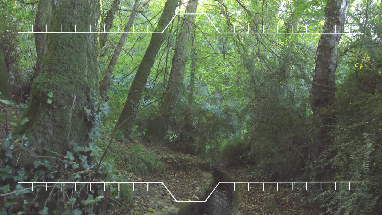 키가 큰 나무가 있는 푸른 숲 위의 프레임 애니메이션을 타으로 합니다.