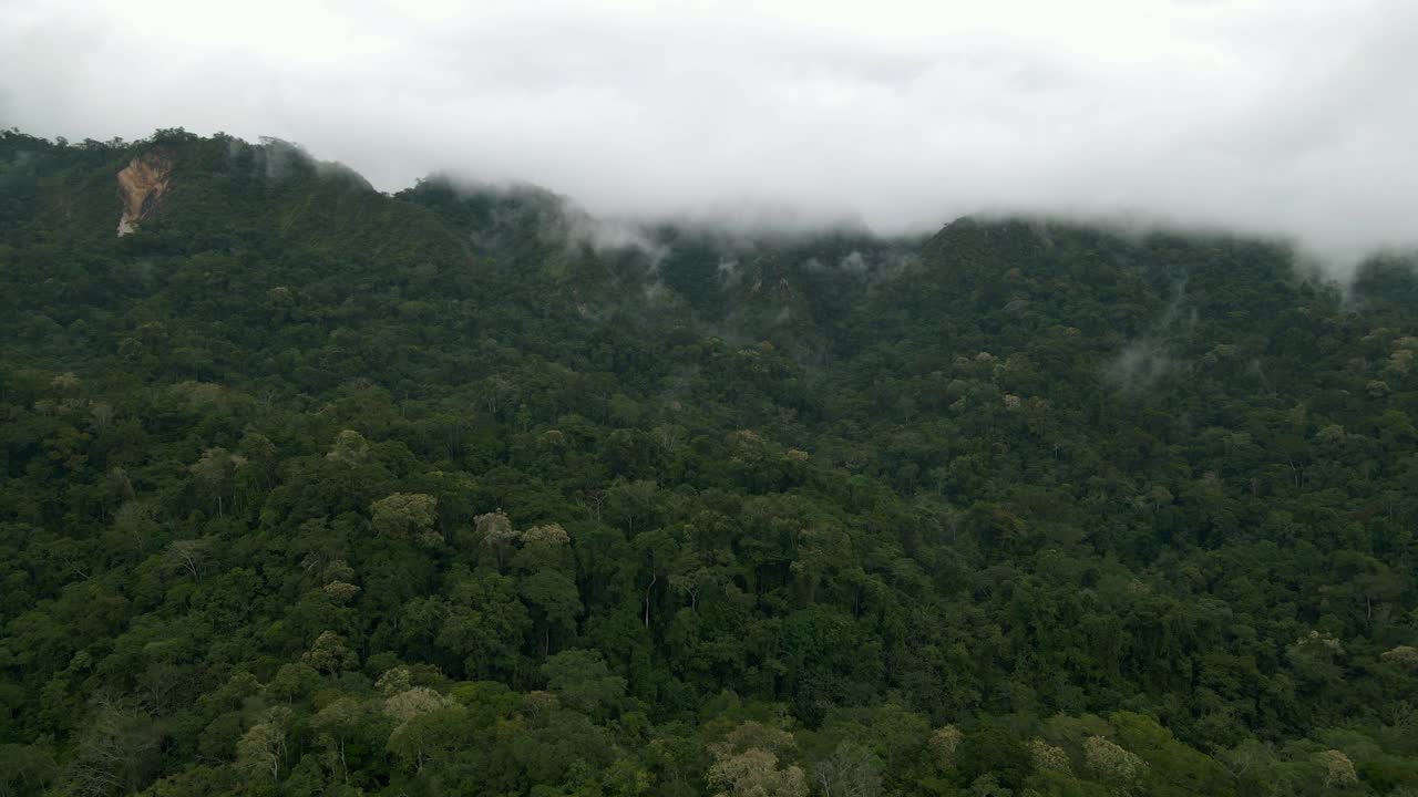 Rainforest nature landscape forest canopy Bolivia Pilón Lajas Biosphere Reserve