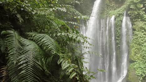 Panning-Shot-of-Ferns-and-a-Waterfall