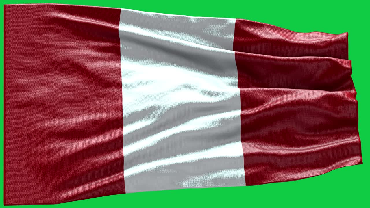 페루의 4k 매우 상세한 발 - 페루 발 높은 세부 사항 - 국가 발 페루 파동 패턴 루프 가능한 요소