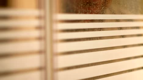 male figure peering through window