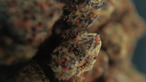 una toma vertical macro cinematográfica crujiente de una planta de cannabis, variedades híbridas de naranja, indica y sativa, flor de marihuana verde, en un soporte giratorio de 360, cámara lenta, video 4k, iluminación de estudio