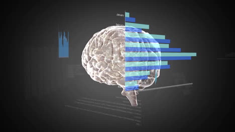 cerebro con barras y gráficos de datos, animación de análisis de datos científicos