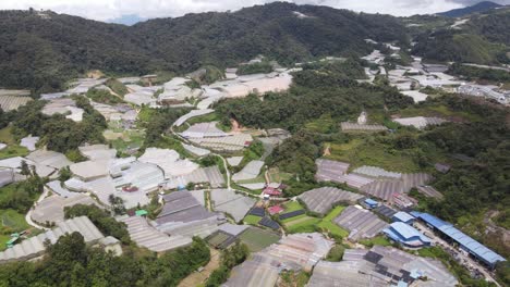 general landscape view of the brinchang district within the cameron highlands area of malaysia