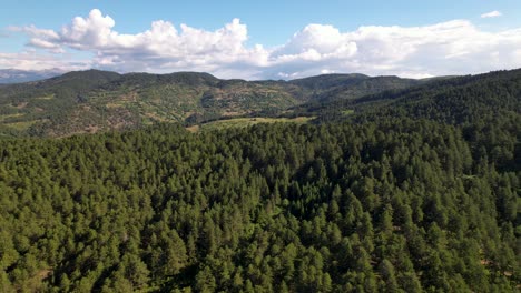 Huge-green-pine-forest-and-meadows-cover-mountain-slopes-on-a-cloudy-summer-day-in-Voskopoja