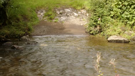 mid shot of afan river watering hole in the afan valley