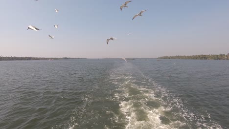 Möwen-Fliegen-über-Bootsspur,-Alappuzha-Oder-Alleppey,-Indien