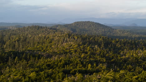 drone video at sunset in ucluelet british columbia, canada over the ocean and forest