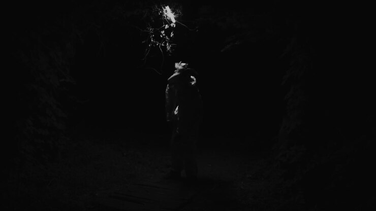 Blank Black Image