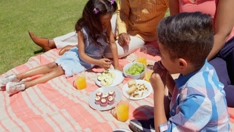 vista frontal de una familia negra haciendo picnic en el parque en un día soleado 4k