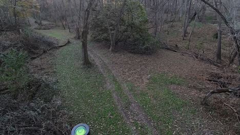 view from a tree branch of an atv trail running through a clearing in the woods on a sunny, fall afternoon