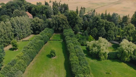 aerial shot in green park, warmia and masuria natural place with green grass nad tall trees, nice clouds on the sky