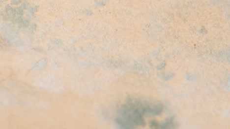 moldy fungi on furniture increased humidity in the house moldy fungi on furniture increased humidity in the house