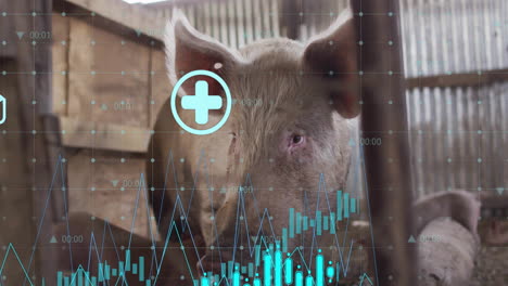 3d render pig head being visualized inside barn, overlaying line graphs, grid dots and timestamps
