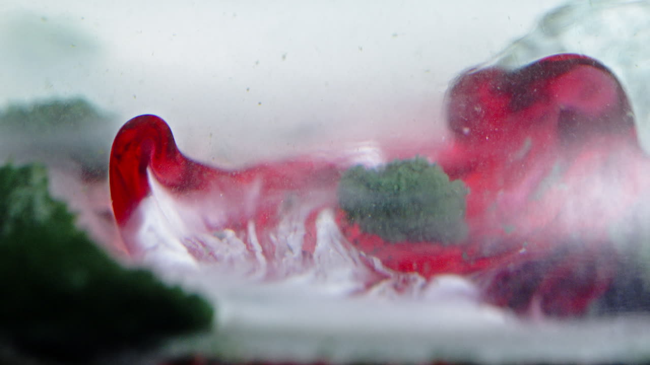 Pill dissolving in liquid, timelapse with vibrant colors and swirling motion