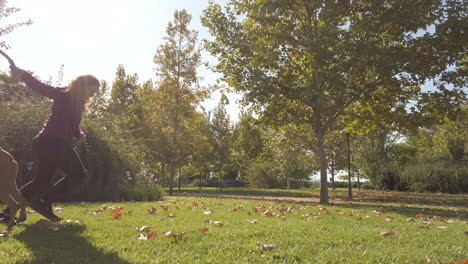woman playing with her dog in a park