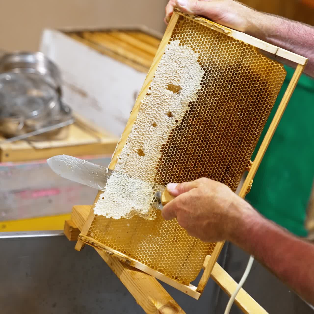 Honey frame being prepared for harvesting. Male apiarist uncovers the wax cells for extracting organic product