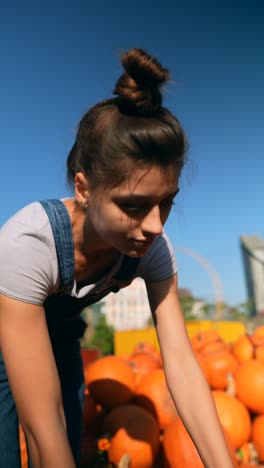 woman picking pumpkins in a sunny pumpkin patch