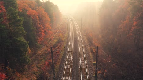 aerial view of railroad in colorful forest with red leaves at foggy sunrise in autumn. top view of rural railway station, trees in fog and gold sunbeams in fall. railroad in sunny morning from drone