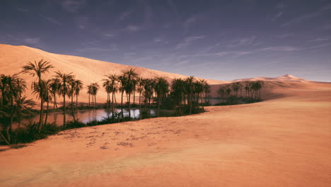 oasis surrounded by desert sand dunes under a clear blue sky at sunset