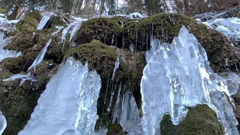 Blöcke-Aus-Eiszapfen-Und-Wassertropfen-Auf-Einer-Steinmauer-Mit-Grüner-Algengrasbildung