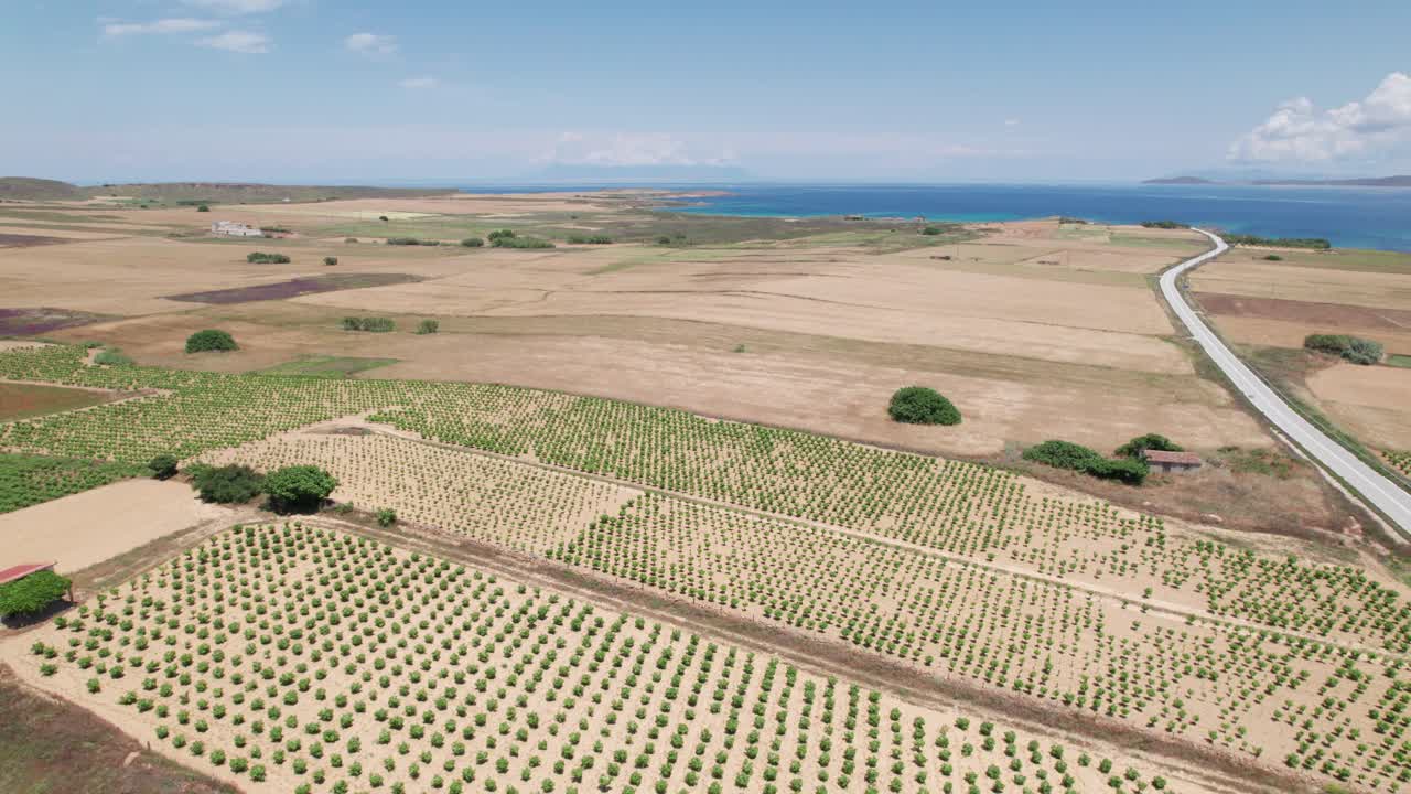 panorámica aérea de la granja de viveros de árboles que se extiende a través de un paisaje abierto junto al océano, lemnos