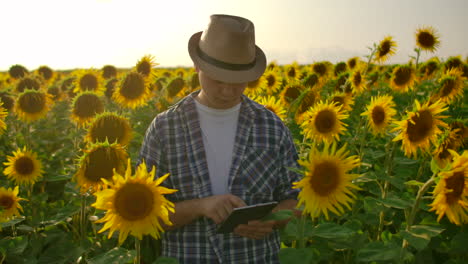 Un-Joven-Granjero-Camina-Por-El-Campo-Con-Muchos-Girasoles-Y-Estudia-Sus-Principales-Características.-Escribe-Algunas-Cosas-Importantes-En-Su-Tableta-Electrónica