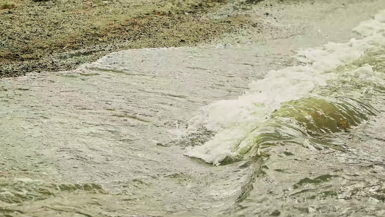 해변에 있는 물의 파도