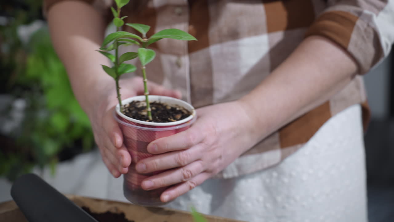 Woman picking up double layered plastic planter, rolling pot to settle soil, pressing side with focused concentration among potted greenery on indoor table showcasing cozy gardening ritual