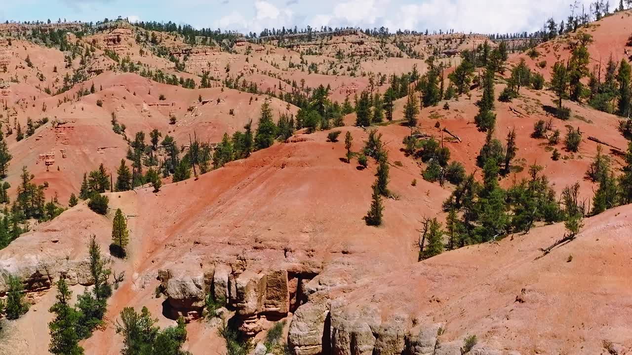 Mojave manzarası, açık bir gökyüzü altında tepeleri, kayaları ve ağaçları gösterir