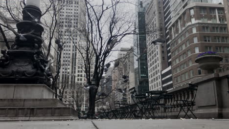 New-York-pigeons-in-empty-park-take-flight