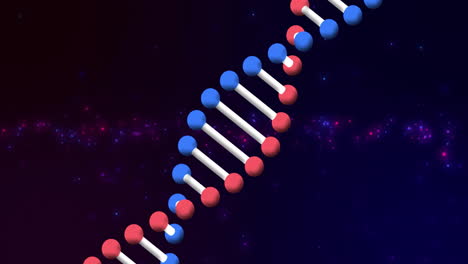 animación de la estructura de la cadena de adn con esferas rojas y azules en fondo oscuro