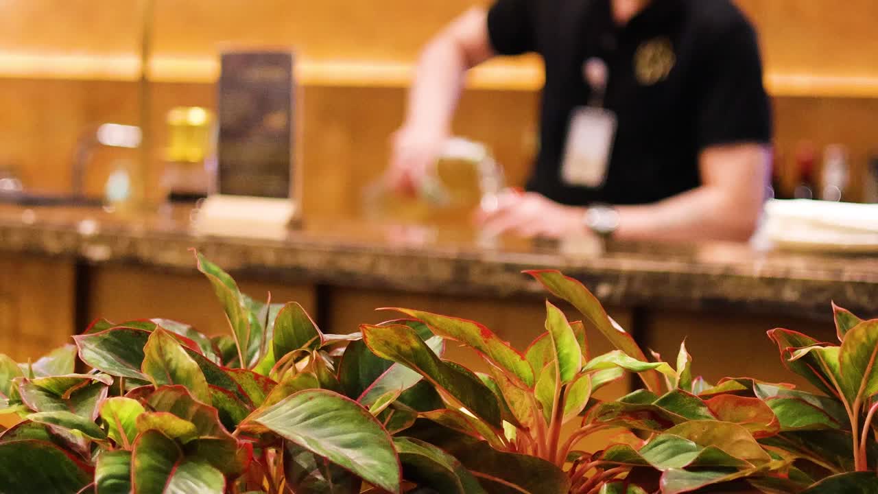 el camarero mezcla hábilmente las bebidas en un bar