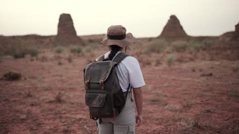 viajero anónimo de pie en el campo del desierto