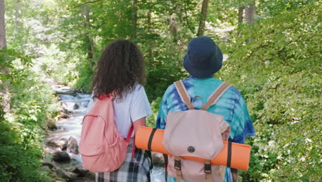 friends hiking in forest stream