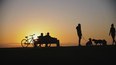 Zeitlupenaufnahmen-Von-Silhouetten-Spielender-Hunde-Im-Freien-Bei-Sonnenuntergang-In-Einem-Park-Mit-Menschen,-Die-Die-Aussicht-Genießen---Entspannende-Momente,-Um-Neue-Energie-Zu-Tanken