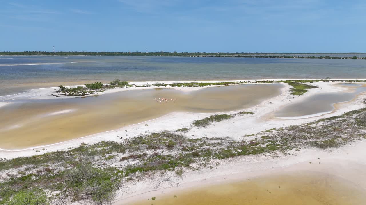 Coastal sandbanks with clear shallow waters and white sand on a sunny day with pink flamingos at Rio Lagartos, Yucatan