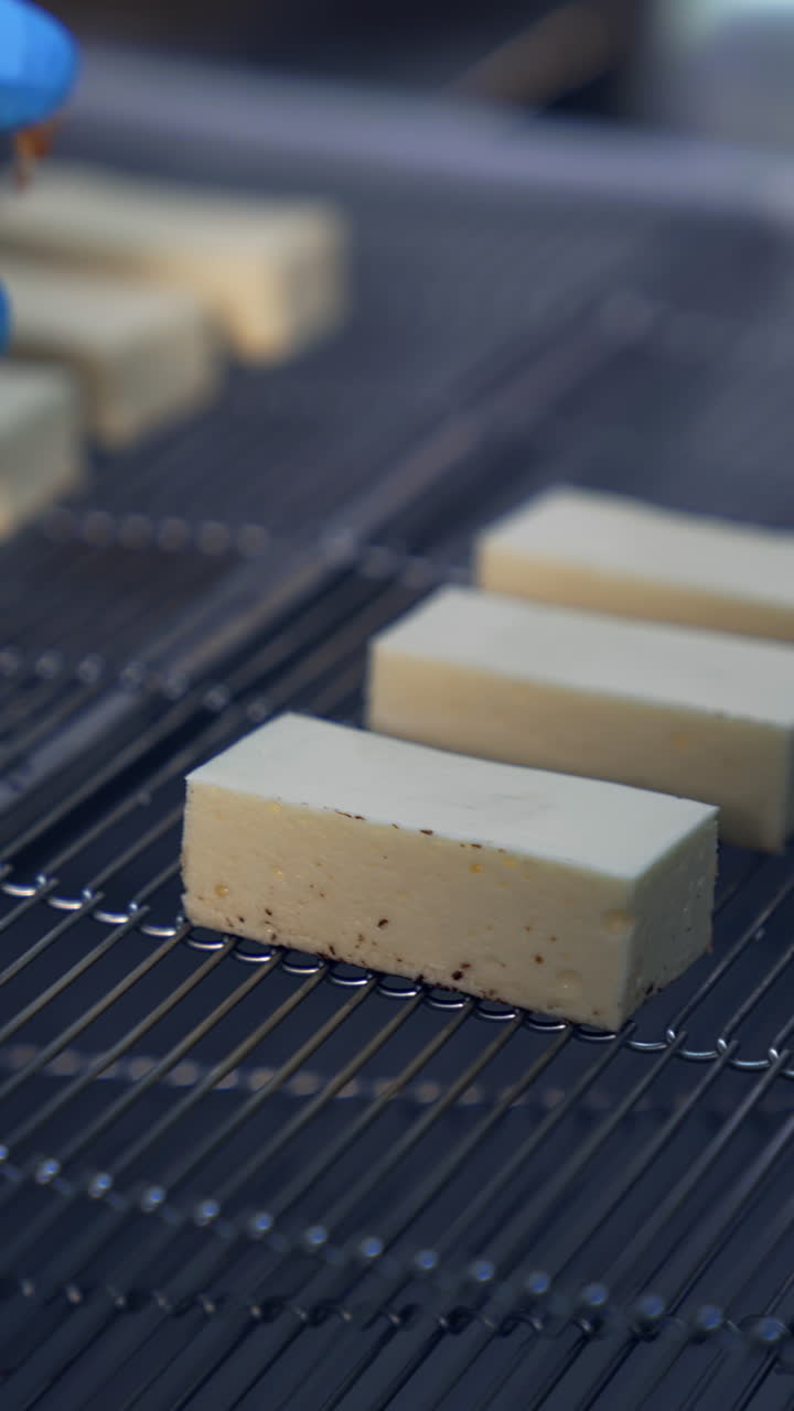 Milky bars of sweets being put on the moving conveyor line. Hands in blue gloves lay pigeon's milk candies on the grid to be covered with chocolate. Desserts production close up. Vertical video