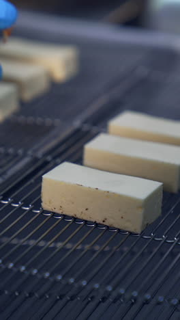 milky bars of sweets being put on the moving conveyor line. hands in blue gloves lay pigeon's milk candies on the grid to be covered with chocolate. desserts production close up. vertical video