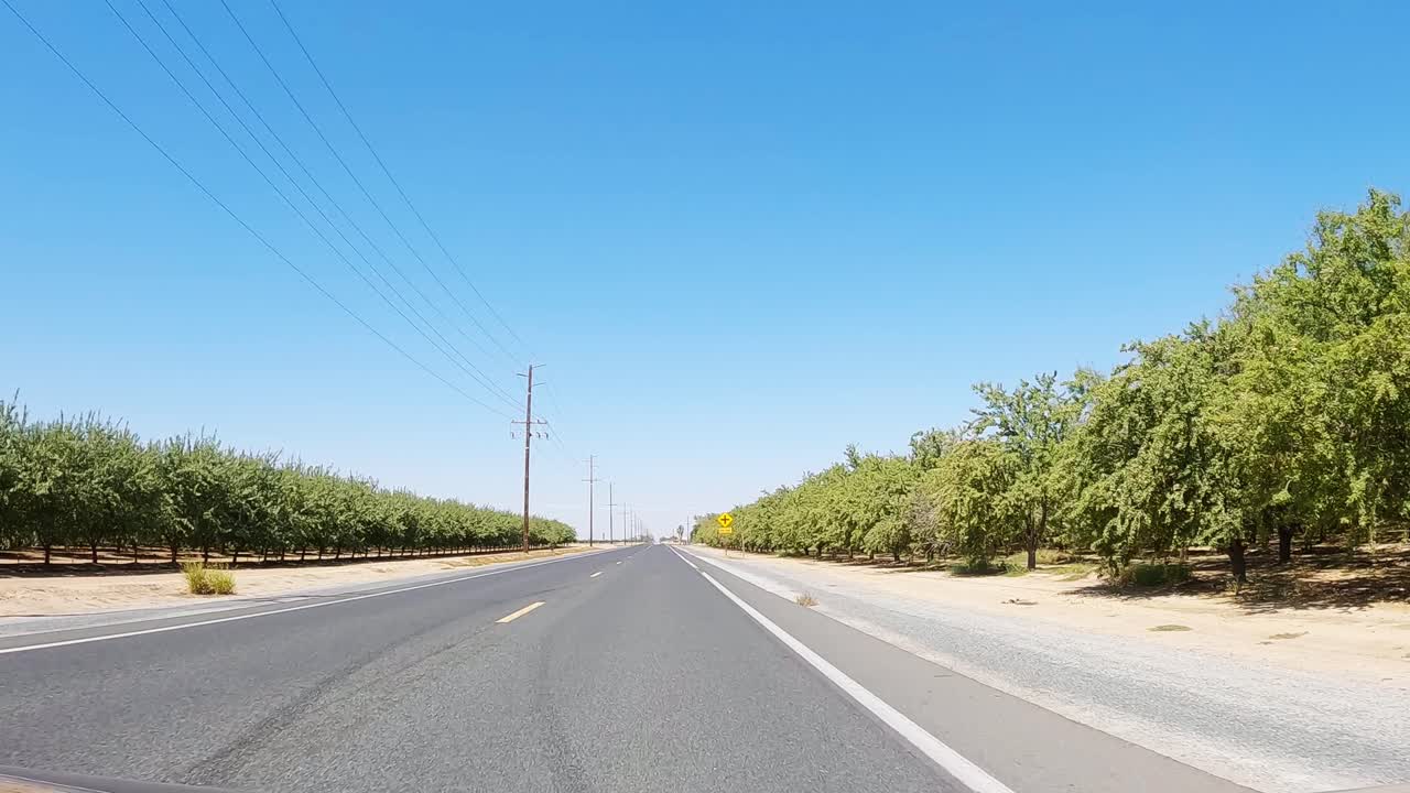 캘리포니아의 화창한 날 과수원 사이의 도로를 따라 운전