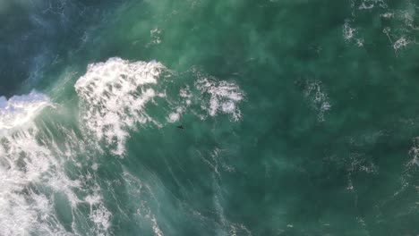 Top-view-of-black-bird-flyover-beautiful-waves-and-soft-foam-texture-in-turquoise-sea-water-at-sunset