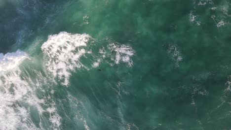 vista superior del sobrevuelo de pájaro negro hermosas olas y textura de espuma suave en agua de mar turquesa al atardecer